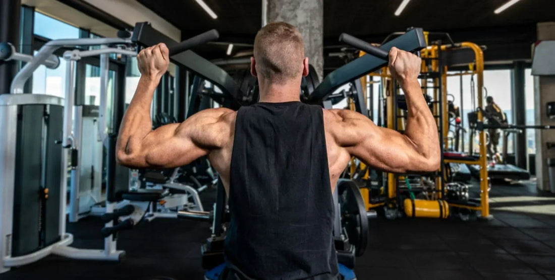 Best Shoulder Workouts for Muscle Growth: Build Size