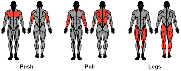 Push Pull Legs Workout for Mass: The Ultimate Split